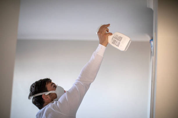 Best Residential Mold Removal  in Eastpointe, MI