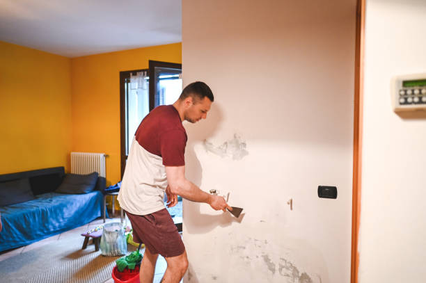 Best Toxic Mold Removal  in Eastpointe, MI